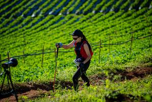 BIB: 
                            <button type="button" onclick="openModal(19160625)" class="btn btn-primary btn-sm float-right btn-popup" data-toggle="modal" data-target=".modal-high-quality">
                        <i class="fas fa-shopping-cart"></i> Add to Cart
                    </button>
                                            <button type="button" onclick="isThisMe(19160625, true)" class="btn btn-success btn-sm float-right btn-popup btn-isme hidden" data-toggle="tooltip" data-placement="bottom" title="นี่คือรูปของคุณใช่ไหม คลิกที่นี่เพื่อเอาเข้าอัลบั้ม">
                        <i class="fas fa-plus"></i> Add to album
                    </button>
                    <button type="button" onclick="isThisMe(19160625, false)" class="btn btn-warning btn-sm float-right btn-popup btn-isnotme hidden">
                        <i class="fas fa-ban"></i> Remove from album
                    </button>